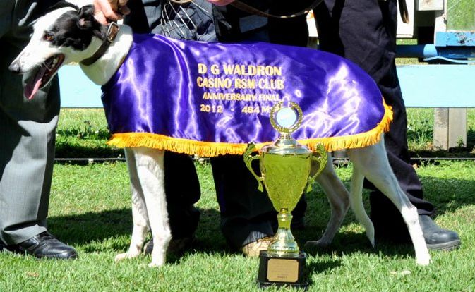 Don Waldron congratulates owner of Allegro Star Neville Robson and the dog's handler Sean Speeding after the dog won the final of Don Waldron Cup at the Casino Greyhounds on Friday. Photo Contributed Don Waldron congratulates owner of Allegro Star Neville Robson and the dog's handler Sean Speeding after the dog won the final of Don Waldron Cup at the Casino Greyhounds on Friday. Photo Contributed
